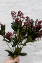 Load image into Gallery viewer, RED SKIMMIA
