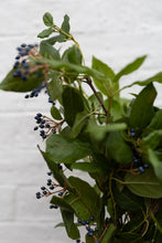 Load image into Gallery viewer, VIBURNUM
