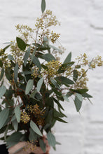 Load image into Gallery viewer, POP BERRIES
